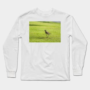 Sharp-tailed sandpiper Long Sleeve T-Shirt